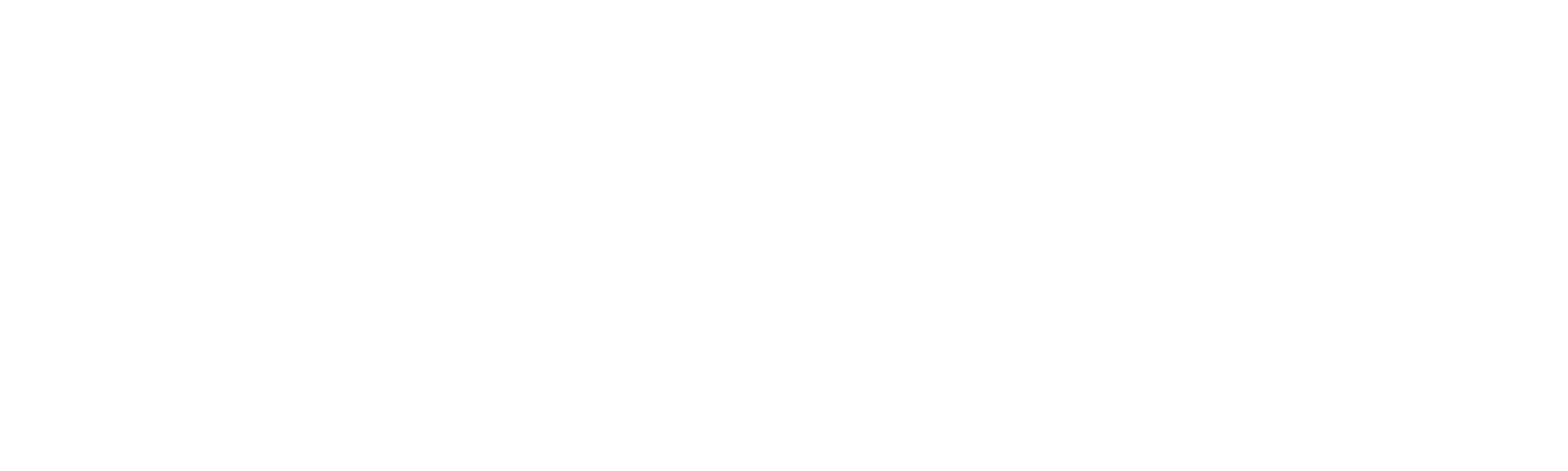 Logo DeMorellis